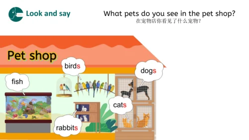 Unit 3 Amazing animals Part A Let's learn（优课）课件（19