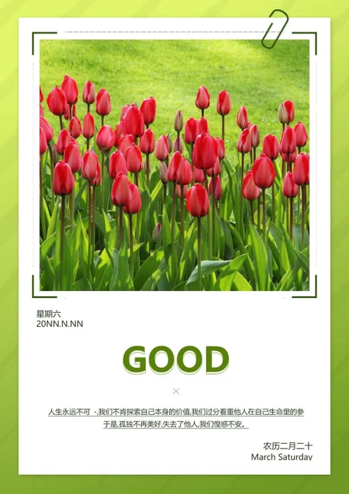 绿色小清新实景春天郁金香早安日签word模板