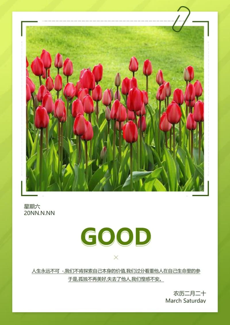 绿色小清新实景春天郁金香早安日签word模板