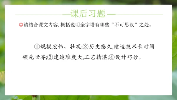 统编版语文五年级下册第七单元（课件）