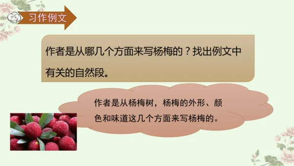 第五单元习作例文我爱故乡的杨梅