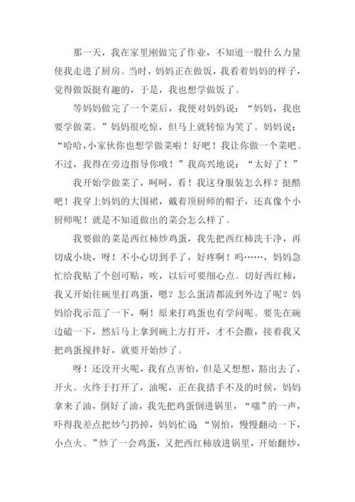 一次难忘的尝试作文600字.docx