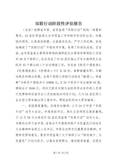 双联行动阶段性评估报告.docx