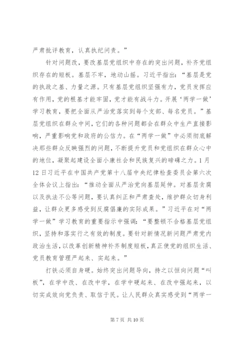 党支部班子问题清单及整改措施方案.docx