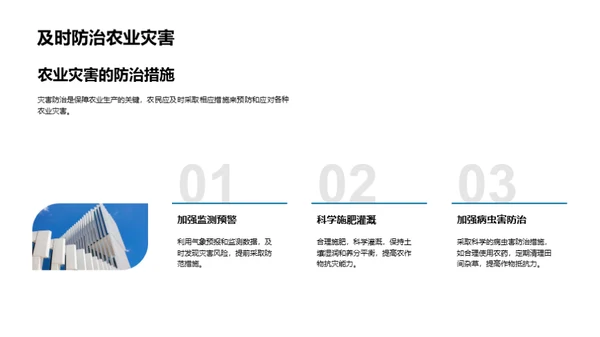 应对大暑农业气候灾害