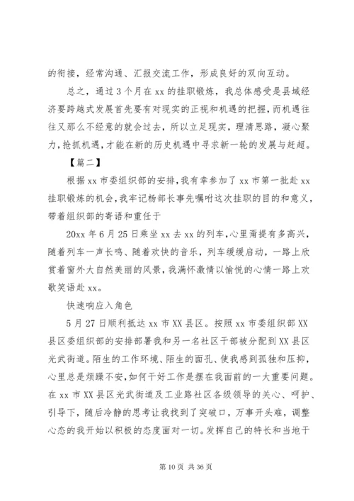 挂职工作总结5篇.docx