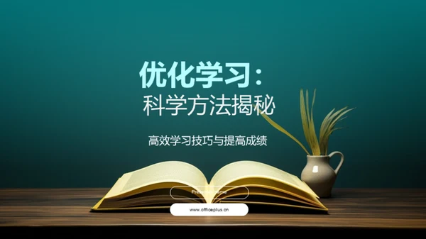 优化学习：科学方法揭秘