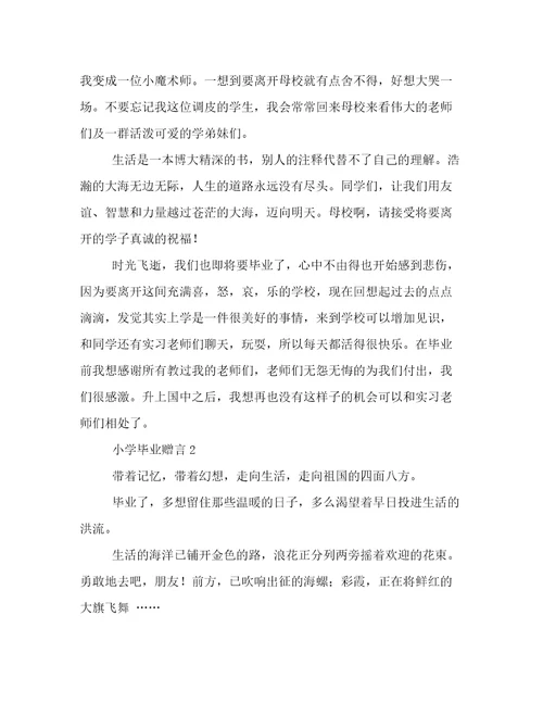 小学毕业赠言20字