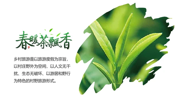 清新绿茶茶文化采茶茶道茶艺茶文化PPT模板