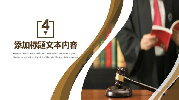 法律律师事务所法制法学工作报告PPT模板