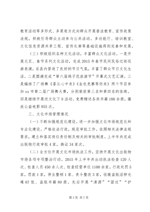 乡镇文新广局上半年工作总结及下半年工作安排.docx