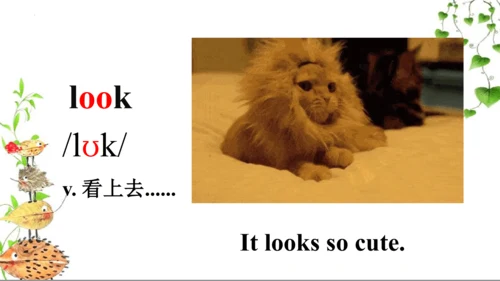 Module 8 Unit 2 Where did you go yesterday？  课件（共3