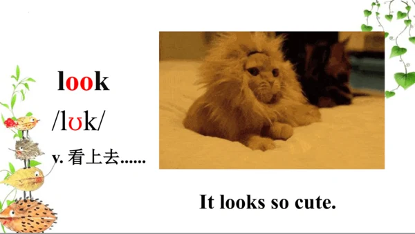 Module 8 Unit 2 Where did you go yesterday？  课件（共3