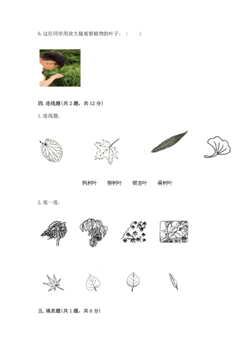 教科版科学一年级上册第一单元《植物》测试卷精品（历年真题）.docx