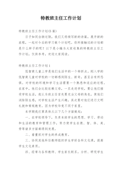 特教班主任工作计划.docx