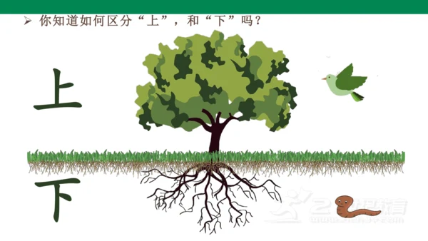 识字2  金木水火土  课件