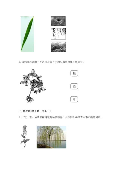 教科版科学一年级上册第一单元《植物》测试卷带答案（a卷）.docx