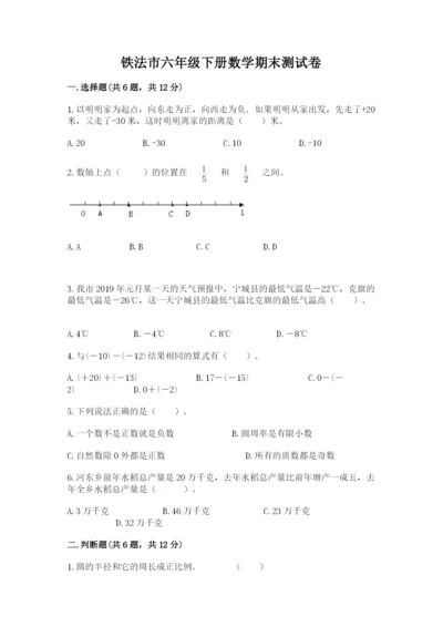 铁法市六年级下册数学期末测试卷（精选题）.docx