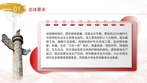 关于加强耕地保护提升耕地质量完善占补平衡的意见全文学习PPT课件