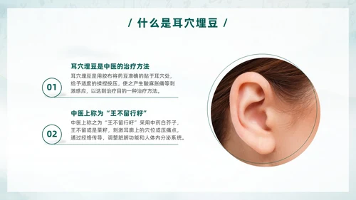 中国风古风水墨中医耳穴埋豆传统理疗操作培训PPT