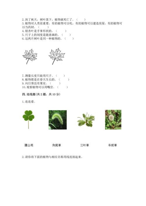 教科版一年级上册科学期末测试卷有答案解析.docx