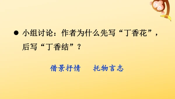 2 丁香结  课件