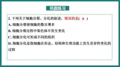 第一单元第三章从细胞到生物体（复习课件）-七年级生物上册同步教学精制课件（人教版2024）(共44张