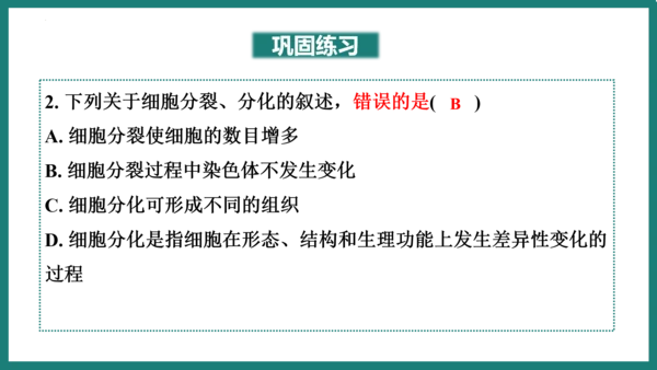 第一单元第三章从细胞到生物体（复习课件）-七年级生物上册同步教学精制课件（人教版2024）(共44张