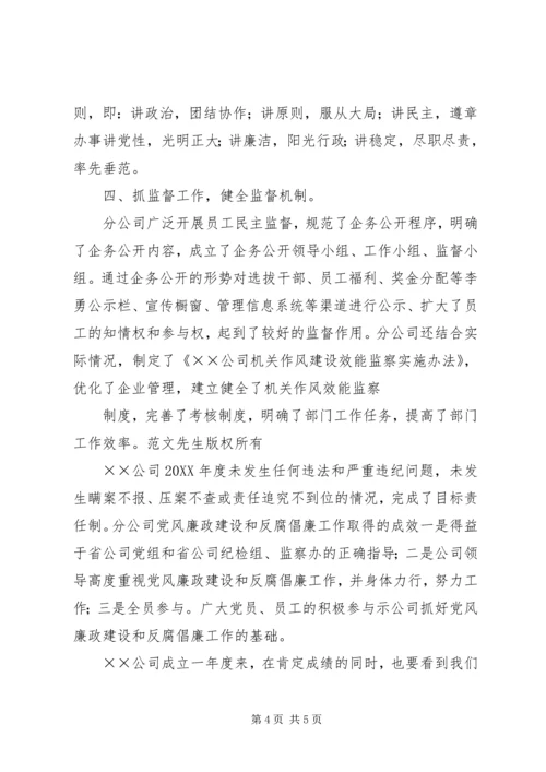 电力公司党风廉政建设自查报告 (3).docx