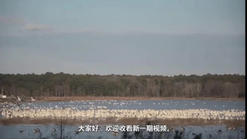 课文1 秋天  课件
