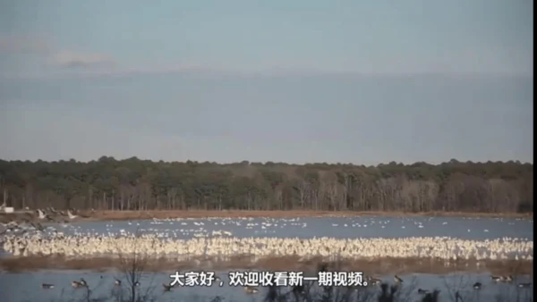课文1 秋天  课件