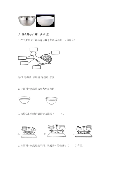 教科版一年级下册科学期末测试卷（典型题）.docx