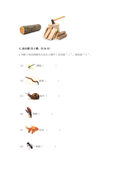 教科版科学二年级上册《期末测试卷》带答案ab卷.docx