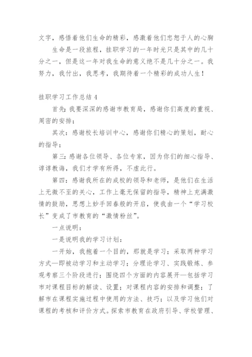 挂职学习工作总结.docx