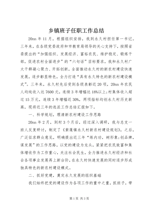 乡镇班子任职工作总结.docx