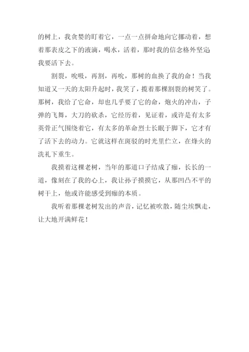 当树结了痂作文800字.docx