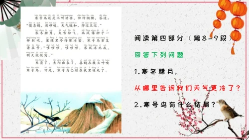第13课《寒号鸟》课件