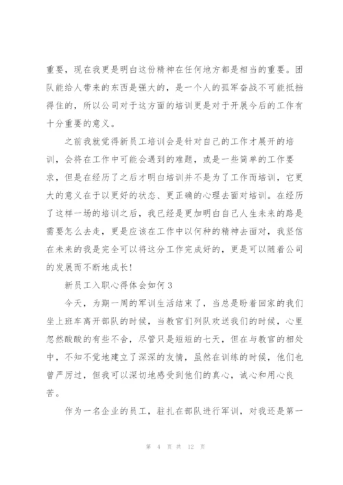 新员工入职心得体会如何写5篇.docx