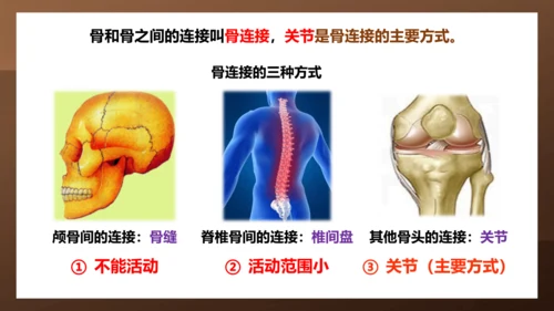 人教版生物八年级上册5.2.1《动物的运动》课件(共27张PPT)+视频素材