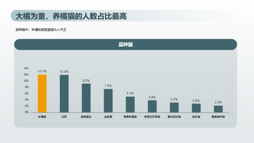 2023年喵经济洞察研究报告