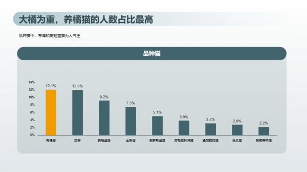 2023年喵经济洞察研究报告