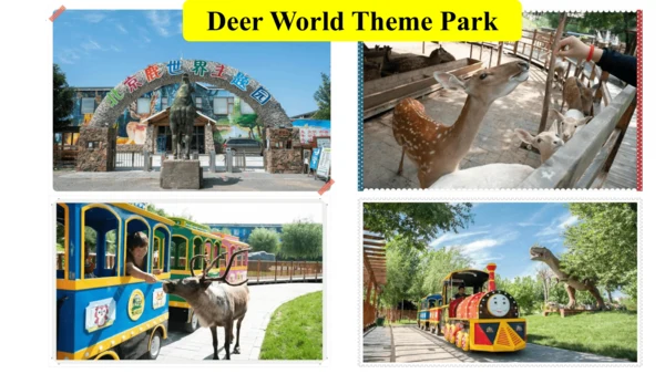 Unit 3 Transportation Lesson3 课件(共20张PPT)