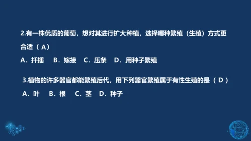 人教版生物学八年级下册 第七单元 第一章 生物的生殖和发育 第1节 植物的生殖 课件