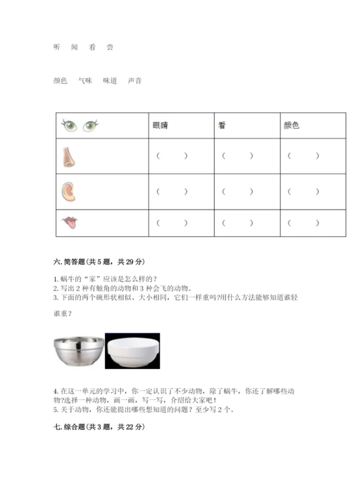 教科版小学科学一年级下册期末测试卷【全优】.docx