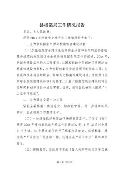 县档案局工作情况报告.docx