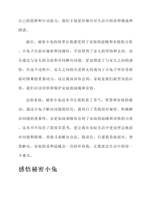 秘密小兔的读后感想