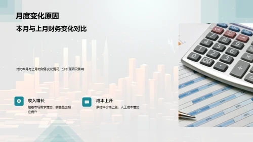 财务状况月度分析