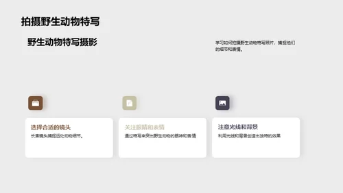 探索非洲野生动物之旅