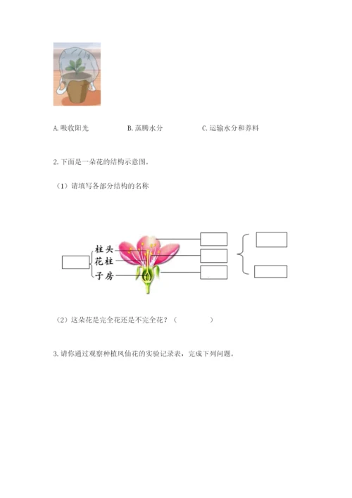 科学四年级下册第一单元《植物的生长变化》测试卷【培优a卷】.docx