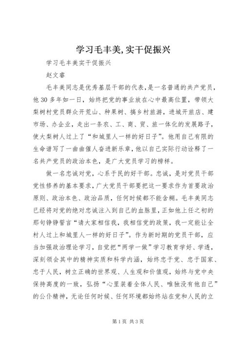 学习毛丰美,实干促振兴 (3).docx